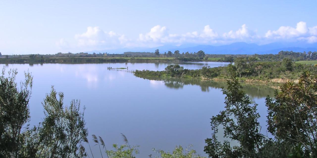 Locations "Chezchristine Aleria" A Aleria Βίλα Εξωτερικό φωτογραφία
